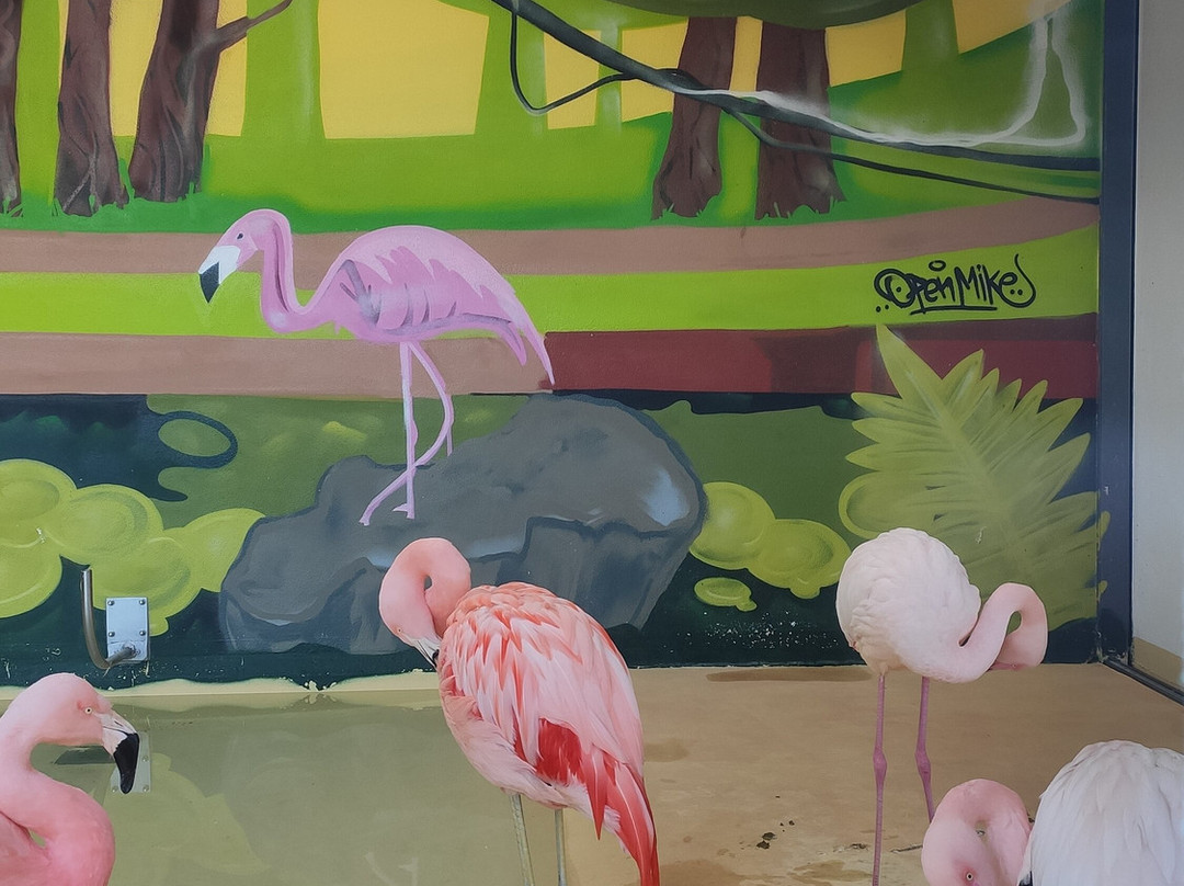 Killesberg公园-斯图加特必去景点