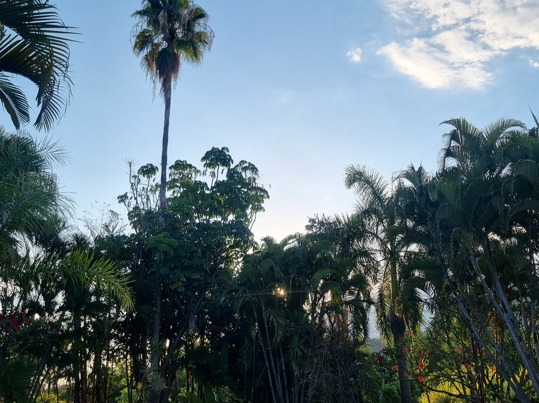 Estalagem Alter Real主图