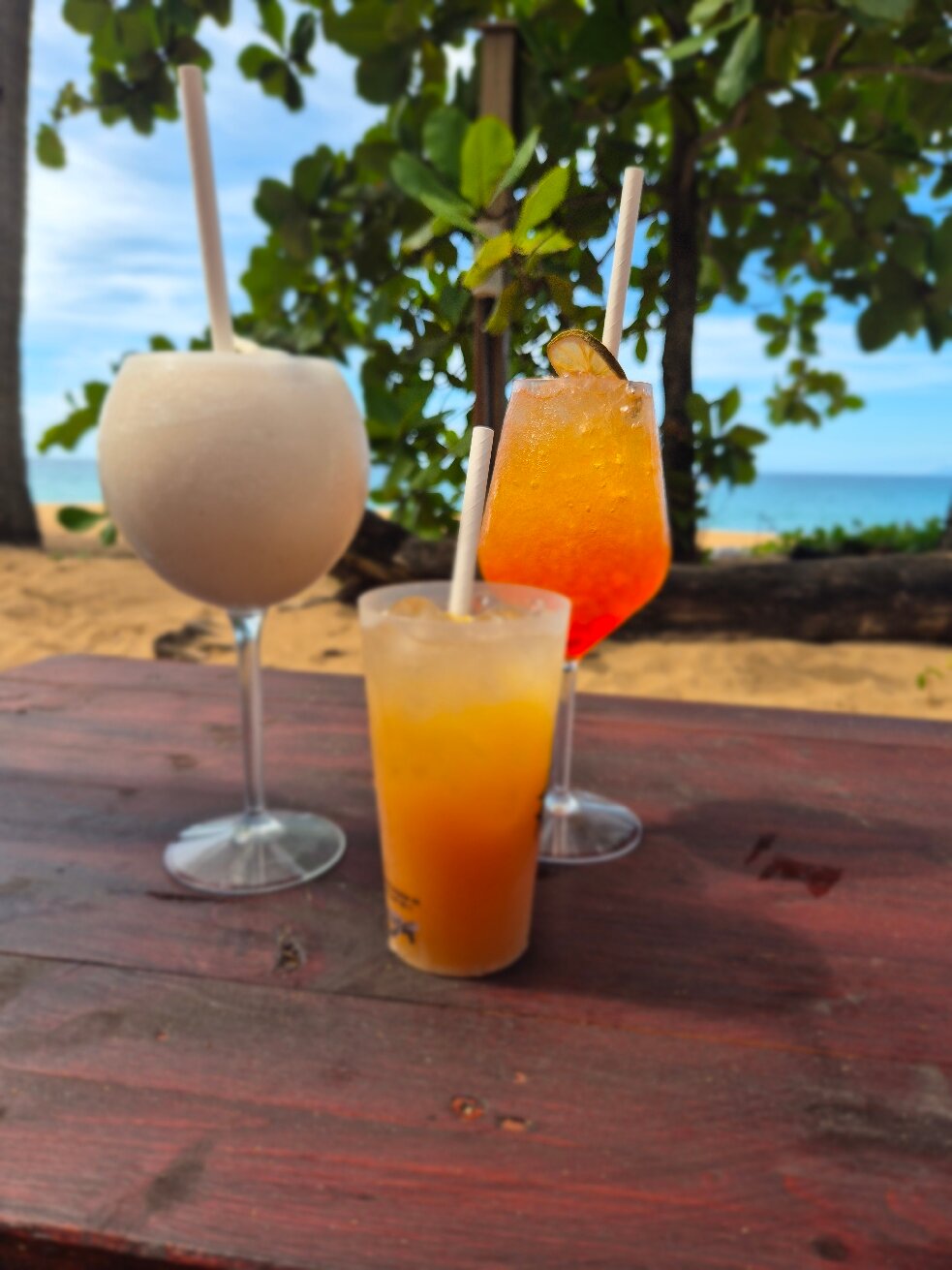 Le Jardin Tropical-官方