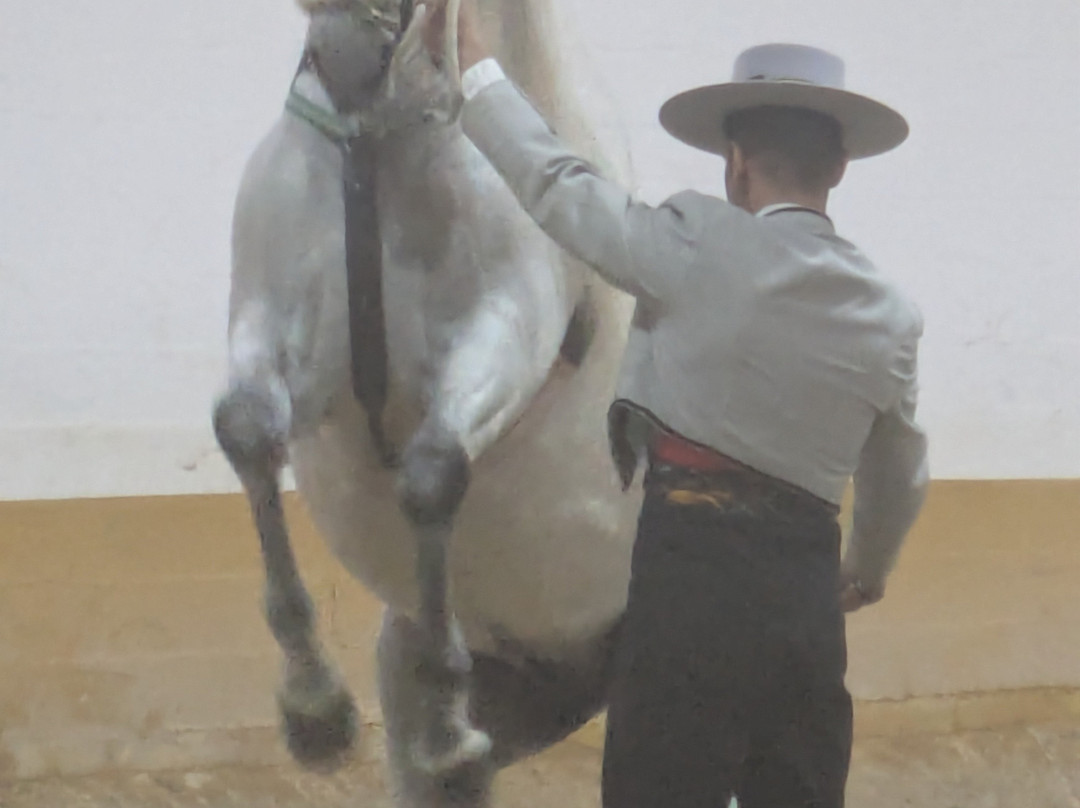 Centro de Equitacion El Ranchito-托雷莫里诺斯必去景点