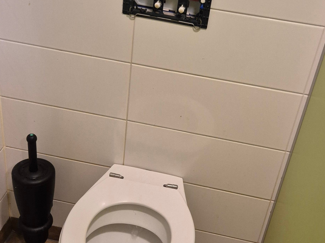 Monkey Town Warmond-Warmond必去景点