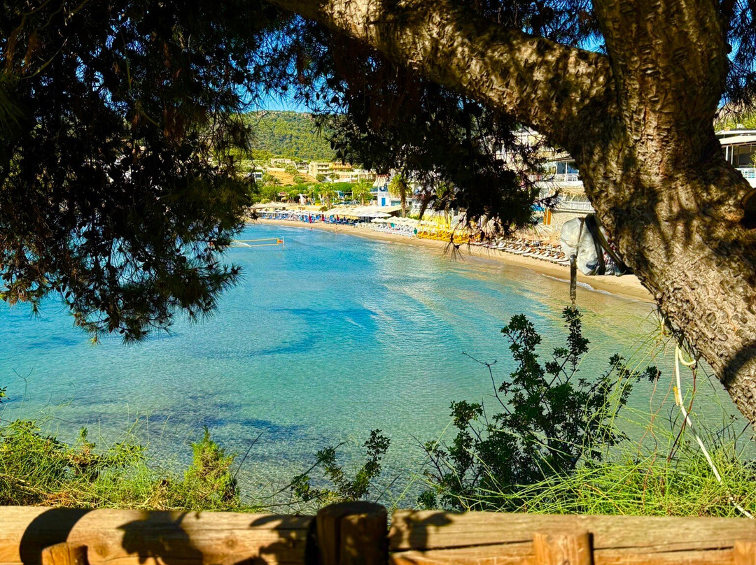 Hotel Liberty 2主图