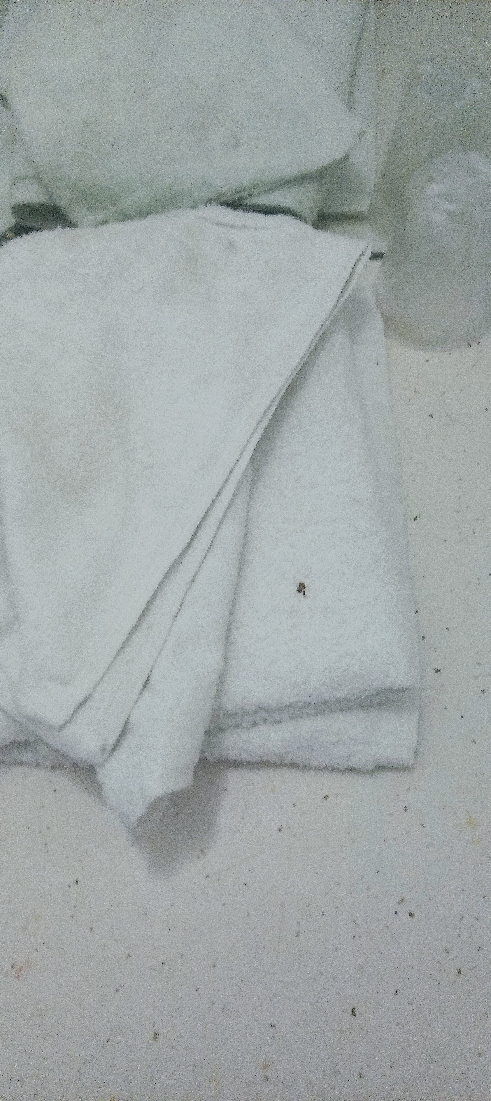 Green Acre Motel by OYO Near Rush County Airport-官方