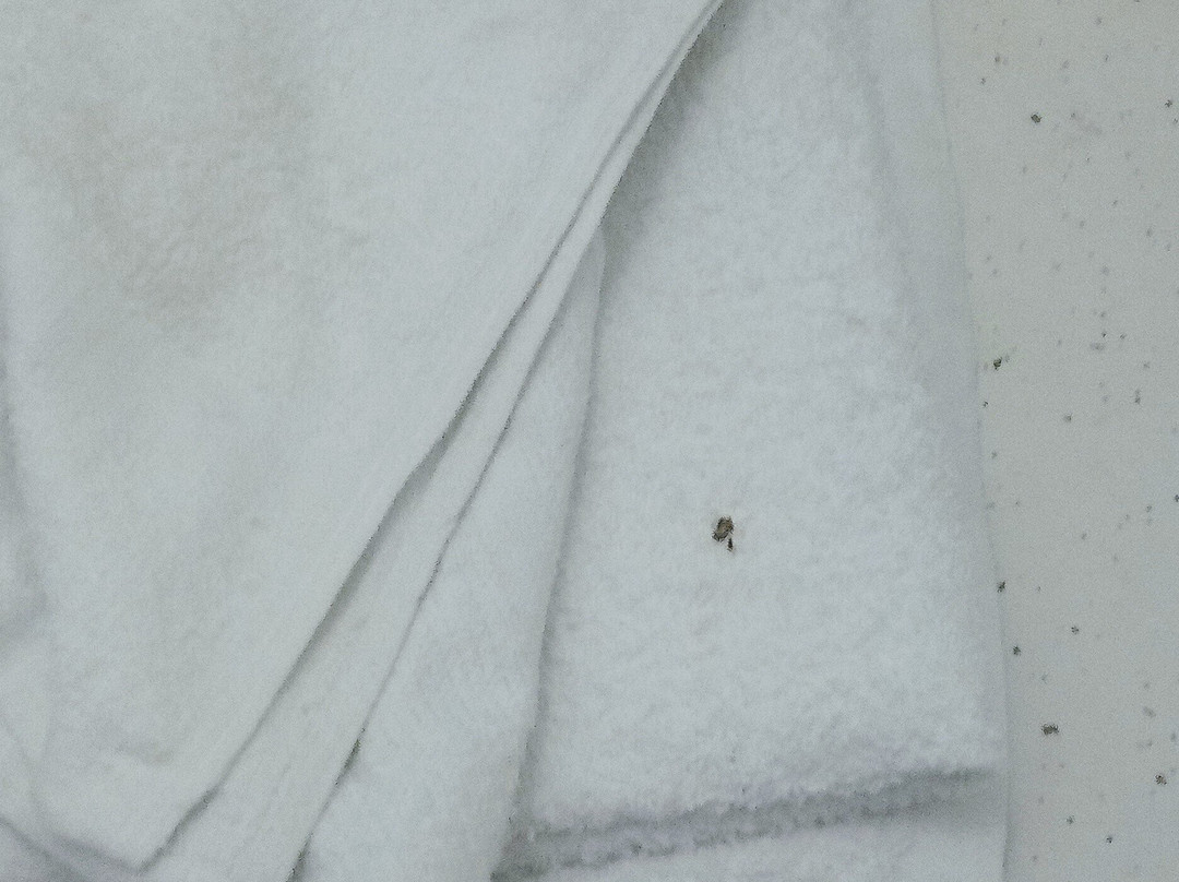 Green Acre Motel by OYO Near Rush County Airport主图