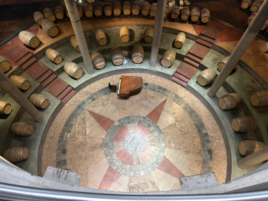 This is Mendoza-门多萨必去景点