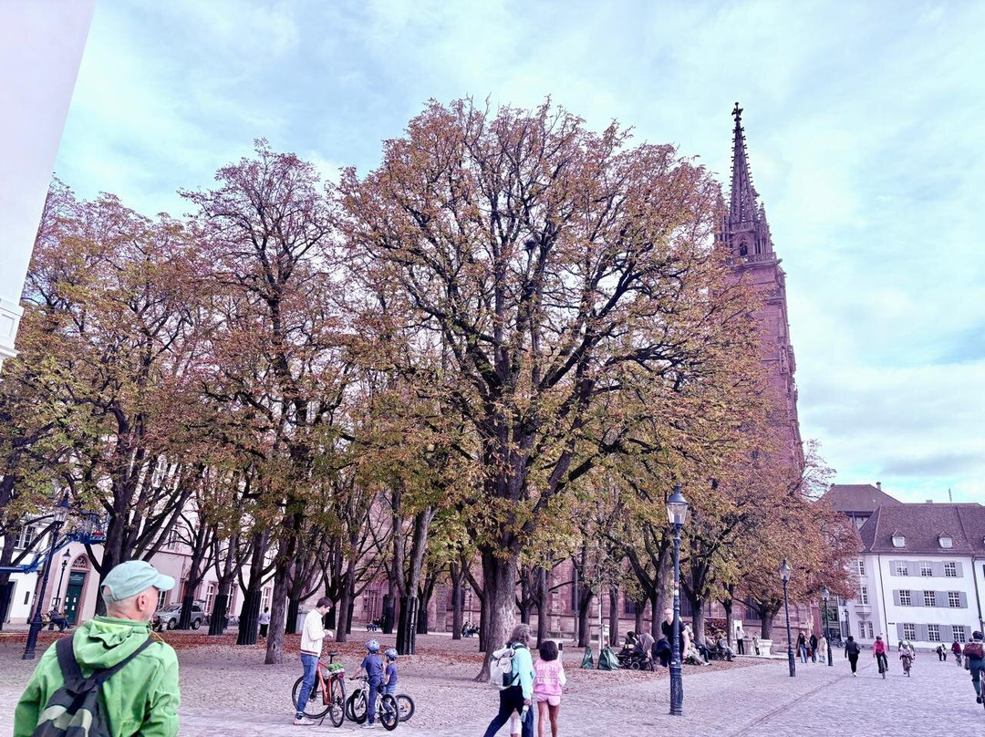 Müensterplatz-巴塞尔必去景点