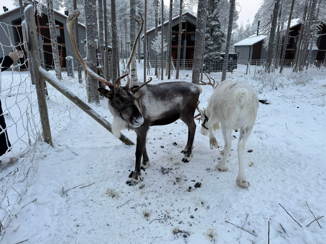 Nova Skyland Hotel主图