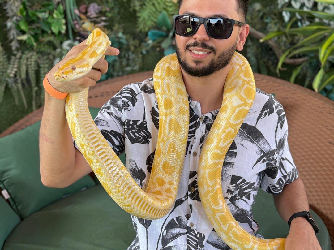 Ecopark Sol e Mar-Maragogi必去景点