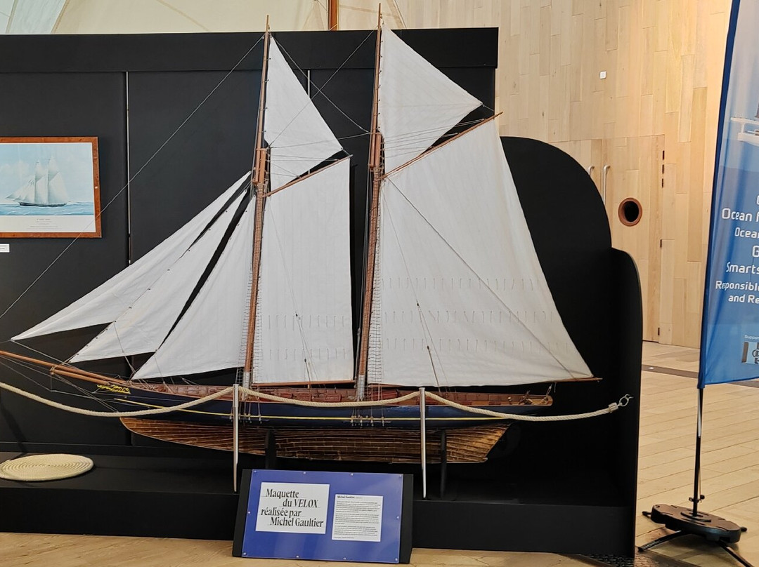 Musée Maritime de La Rochelle-拉罗谢尔必去景点
