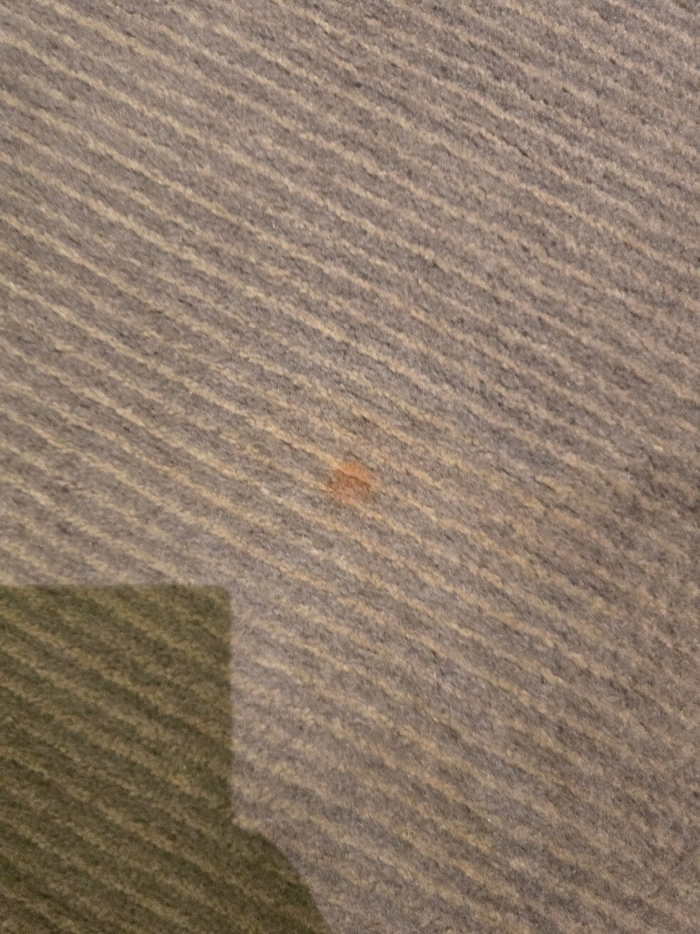 圣乔治酒店-温布里-官方