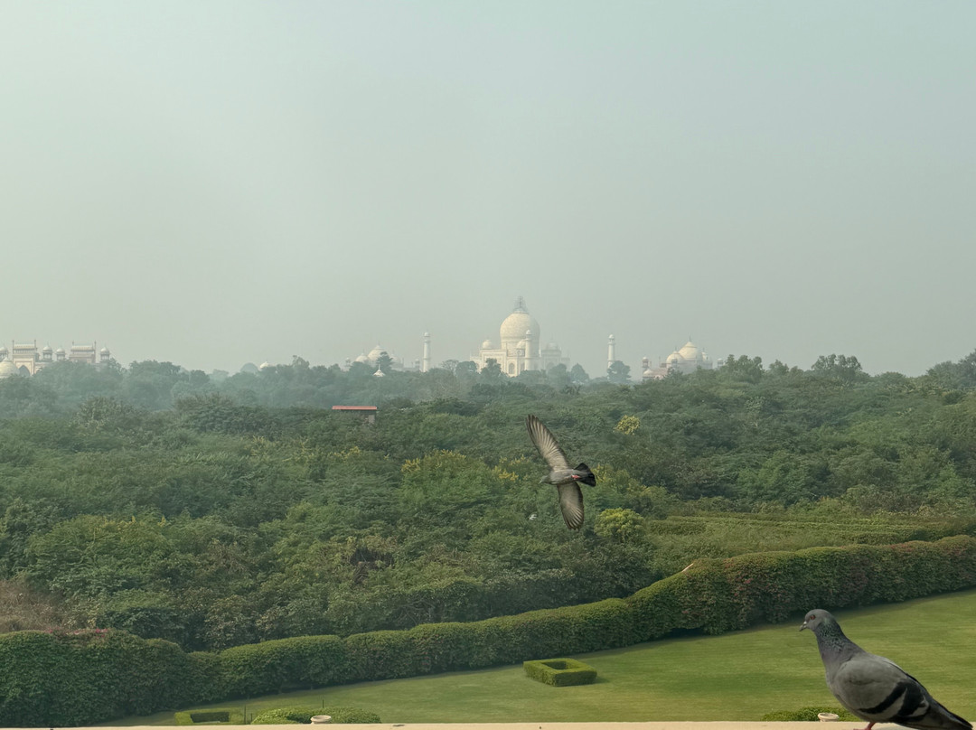 欧贝罗伊阿玛维拉斯阿格拉酒店主图