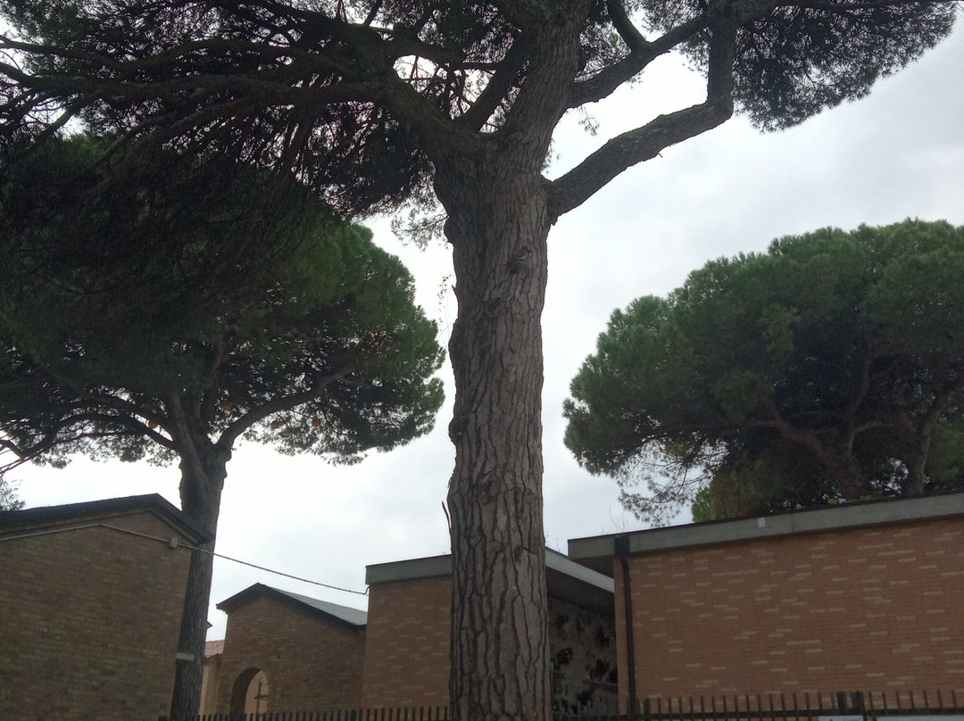 Pineta di Milano Marittima-Milano Marittima必去景点