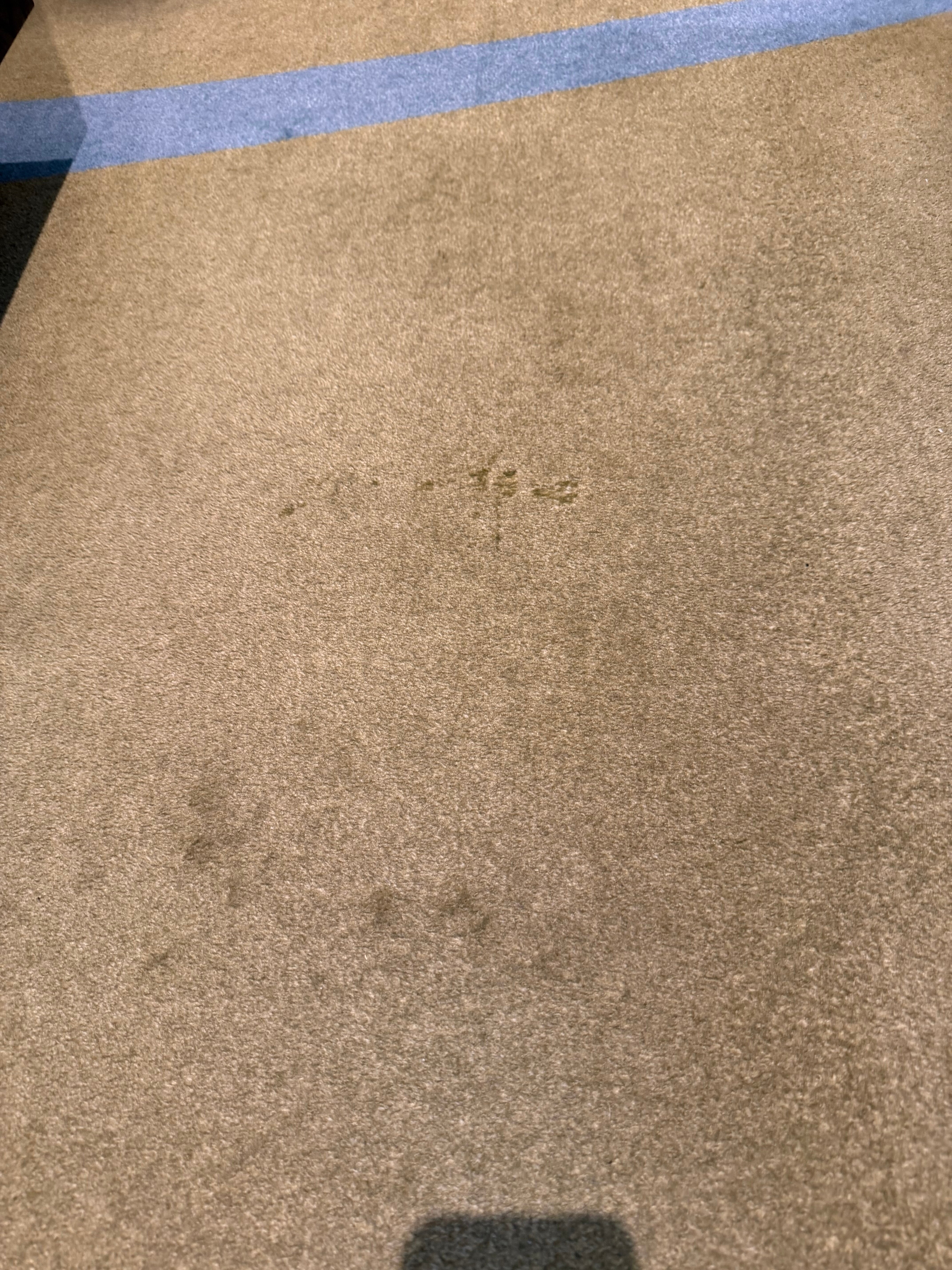 松恩会议酒店-客卧