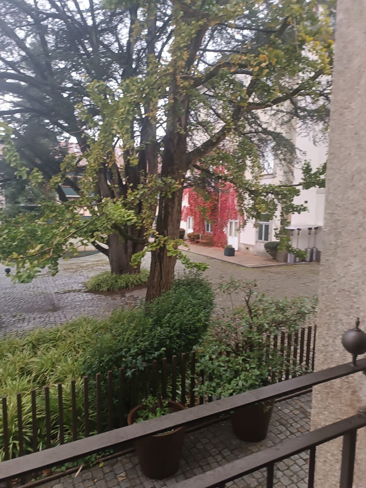 Torel Avantgarde-酒店景观