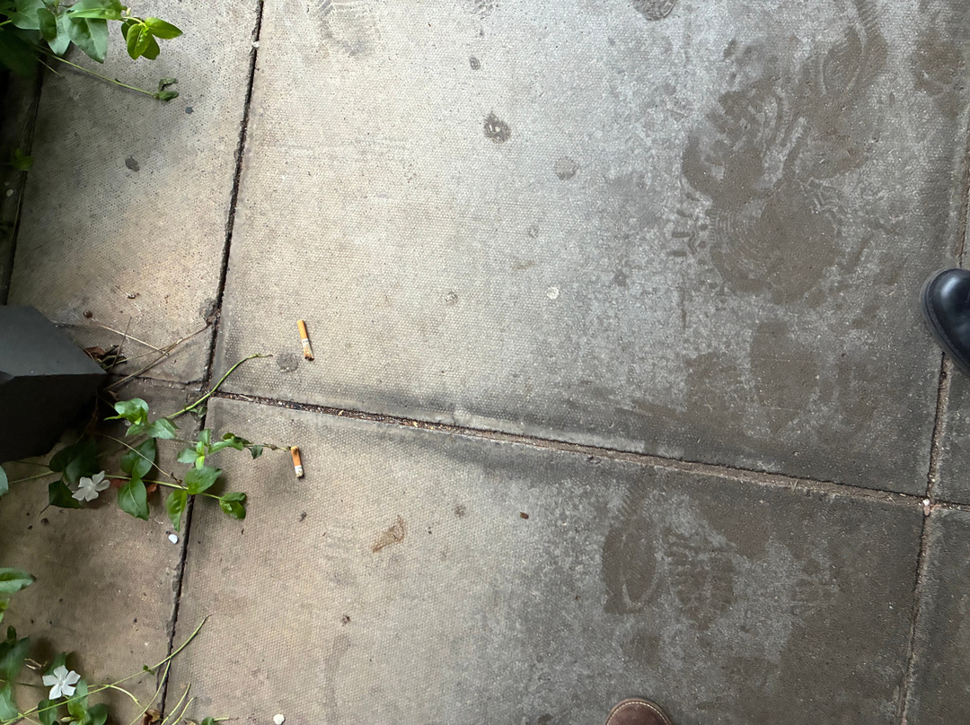 Premier Inn Bristol East (Emersons Green) hotel主图