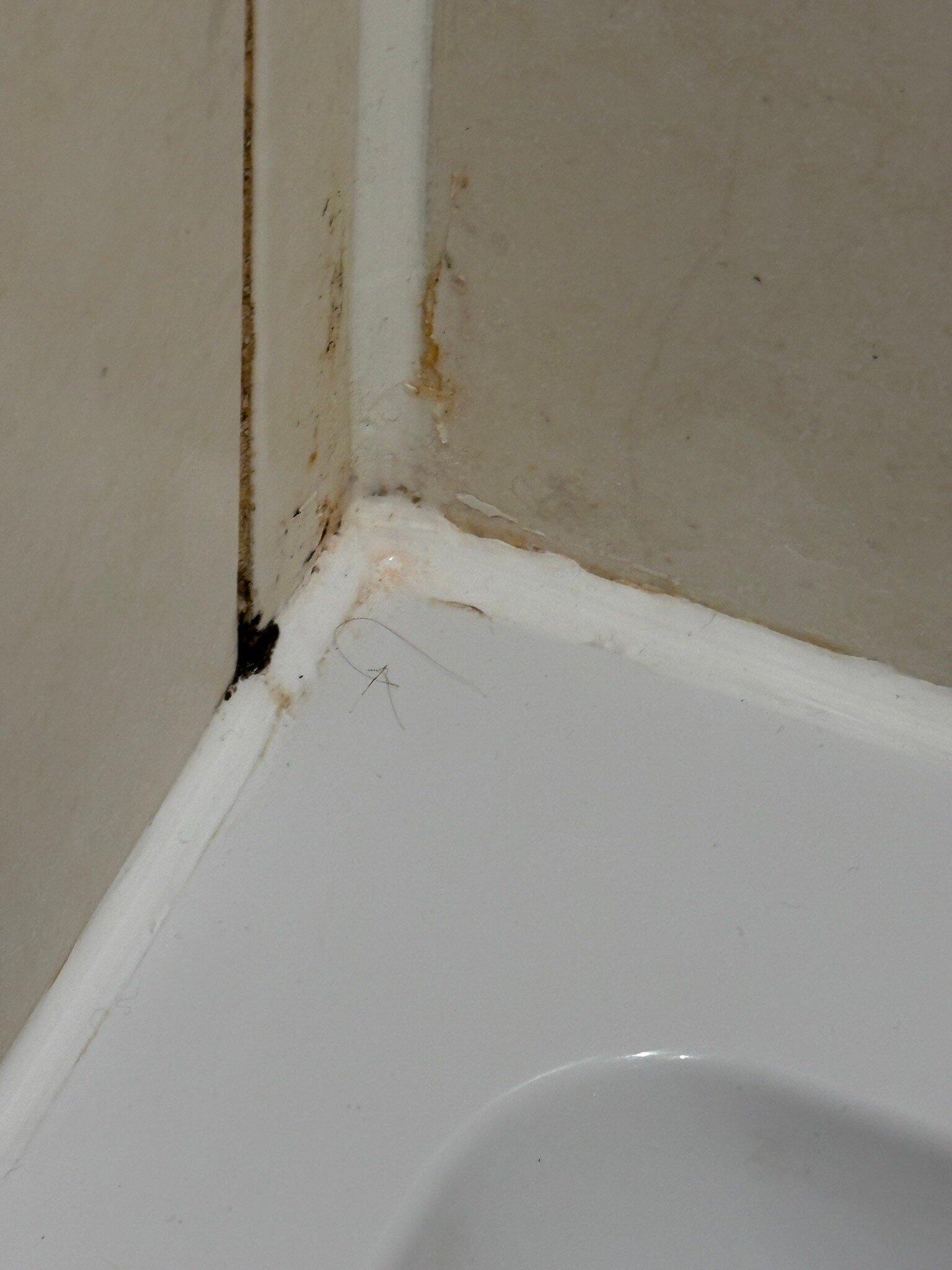 Royal Seven Stars Hotel-官方