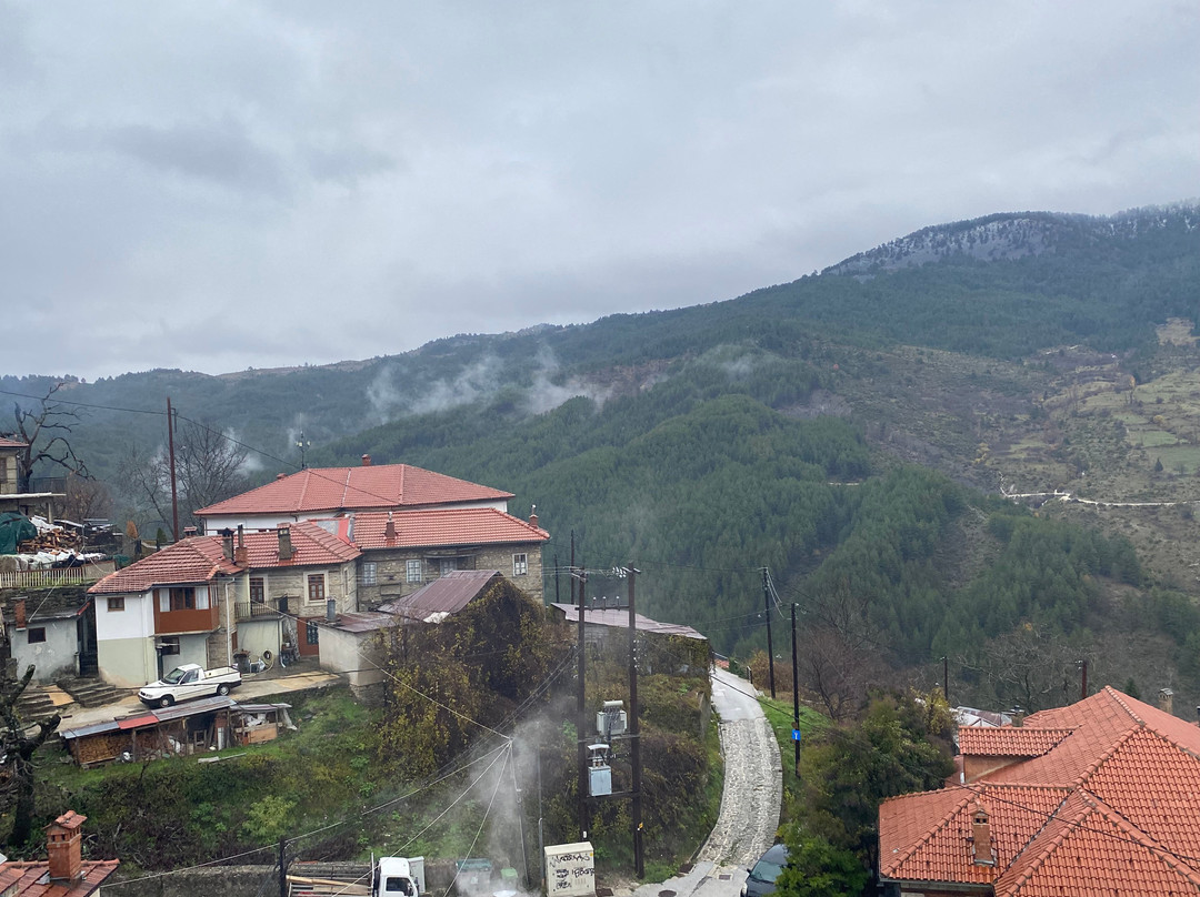 Archontiko Metsovou Boutique Hotel主图