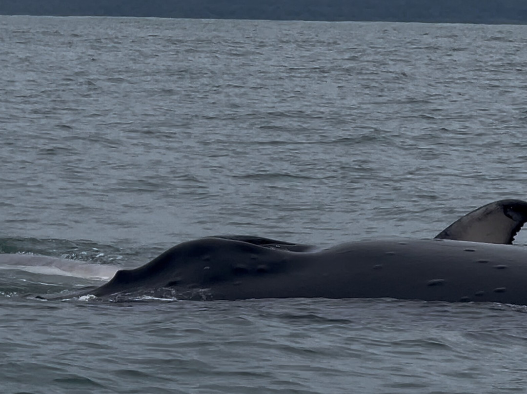 Los Sueños Travel-艾拉杜拉必去景点