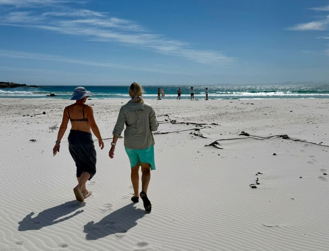 Wild Wellness-赫曼努斯必去景点