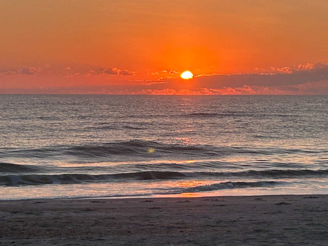 Beachside Motel主图