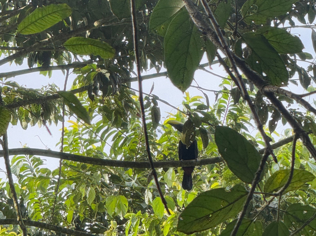 Sukia Travel-德雷克湾必去景点