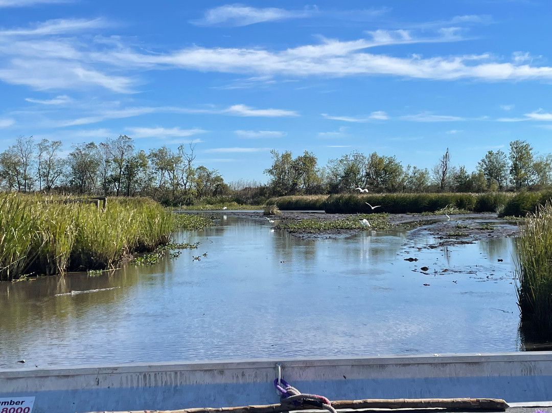 Ragin Cajun Airboat Tours-新奥尔良必去景点