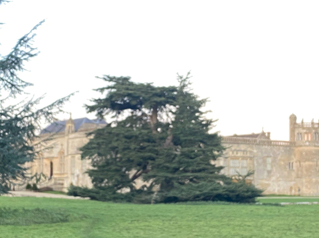 Lacock Abbey-拉科克必去景点