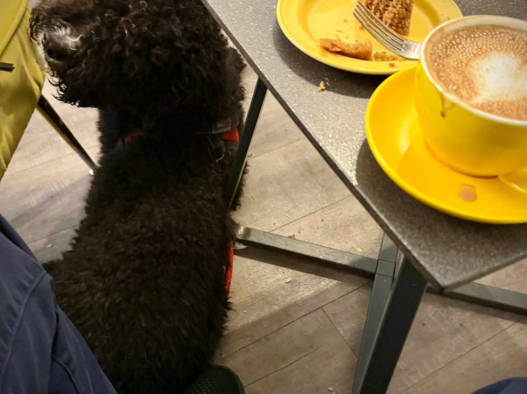 Coffee & Wine Old Town