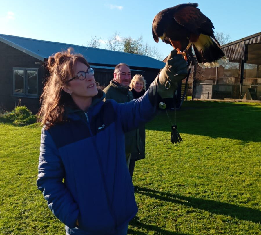 Bird on the Hand Falconry Experiences-Church Langton必去景点