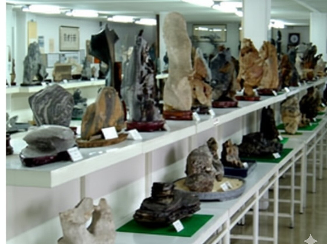 Rare Stone Museum