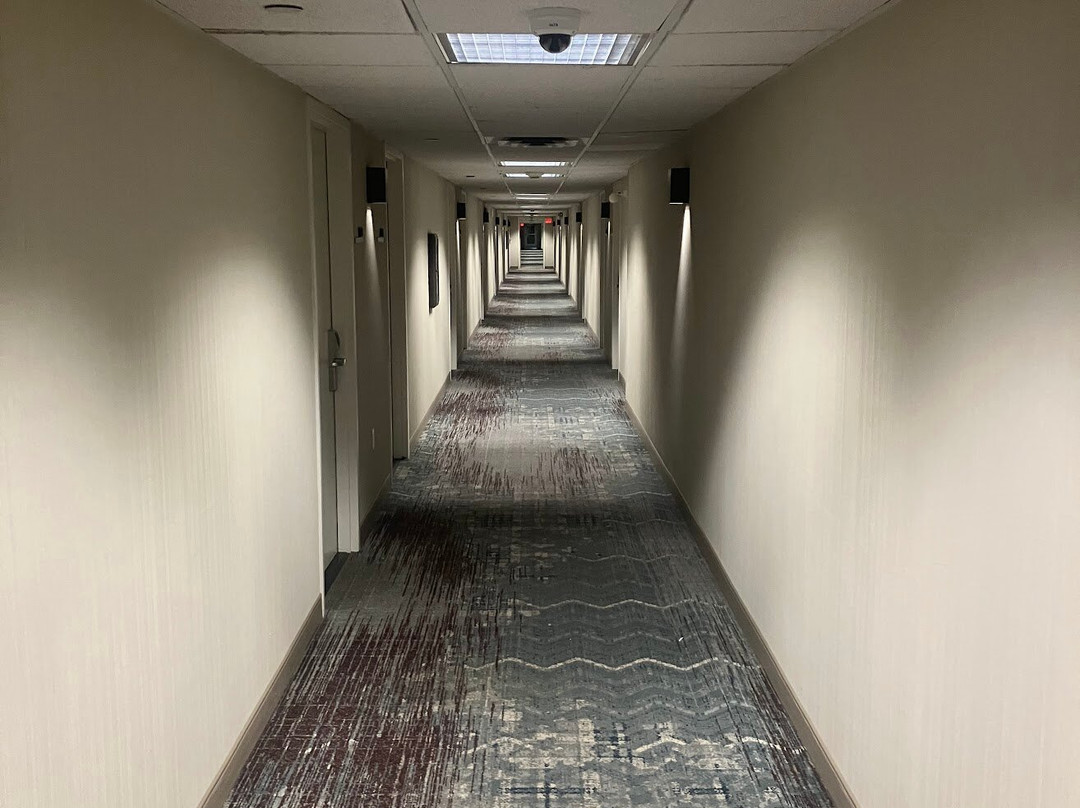 伯灵顿希尔顿逸林酒店主图