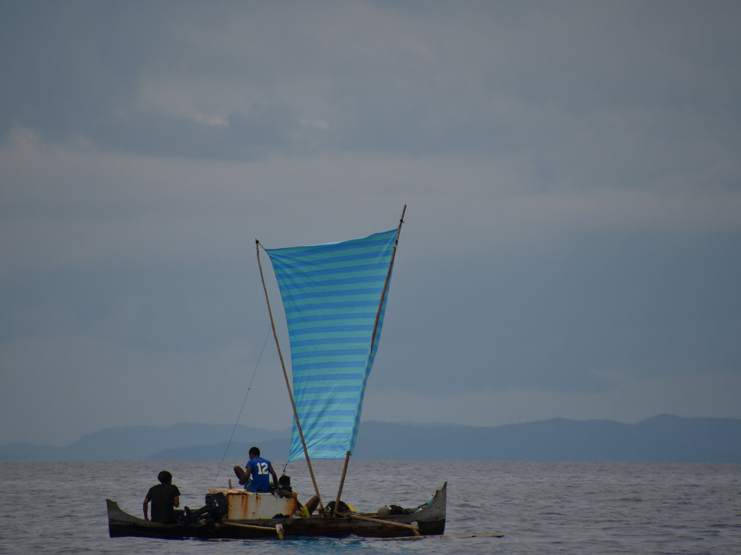 Les Baleines Rand'eau-诺西贝必去景点