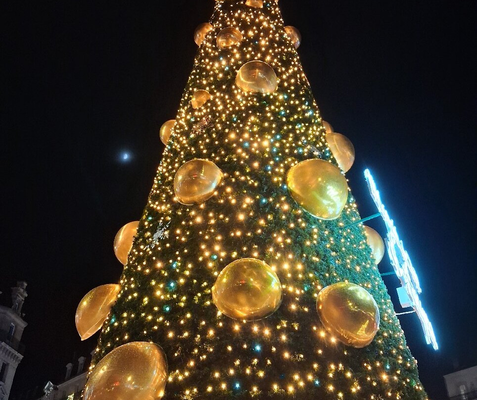 Place du Ralliement-昂热必去景点