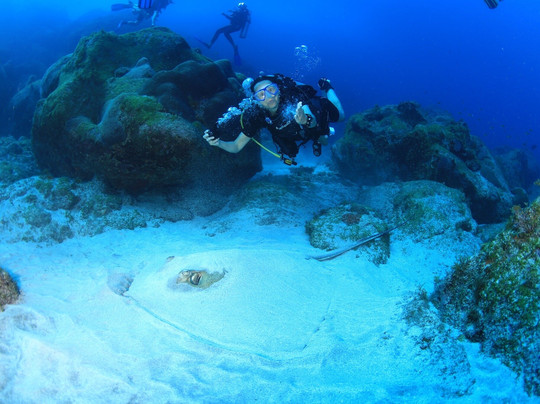 Águas Claras-费尔南多-迪诺罗尼亚群岛必去景点