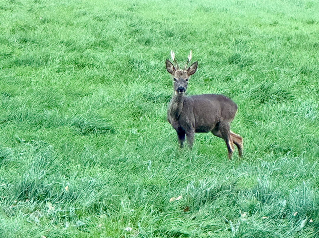 Cranborne Chase Escapes-Broad Chalke必去景点