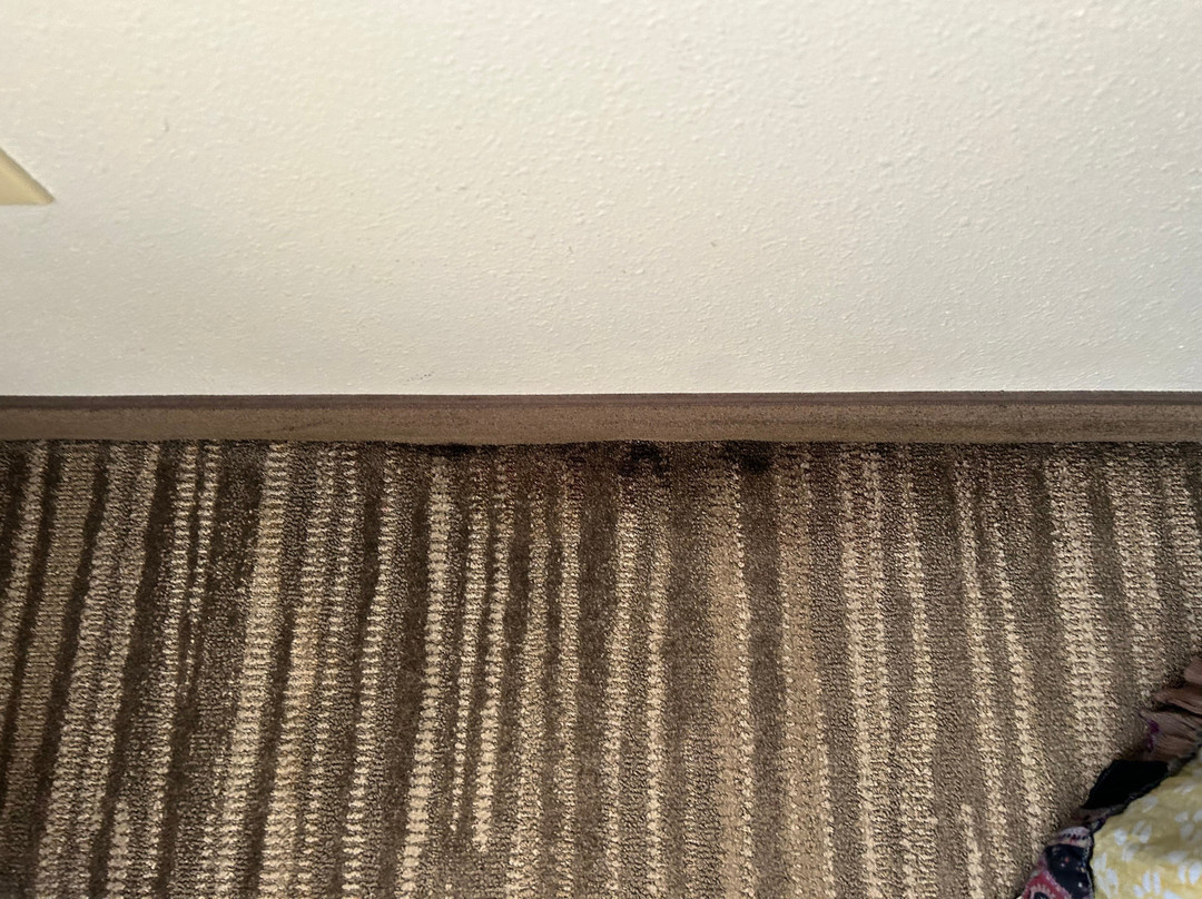 Hyatt Place Memphis/Wolfchase Galleria主图