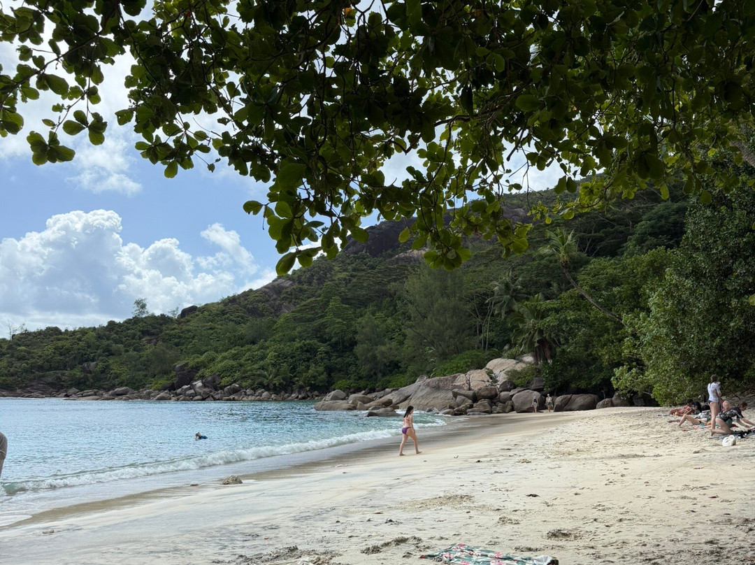 La Sirene, Anse Major