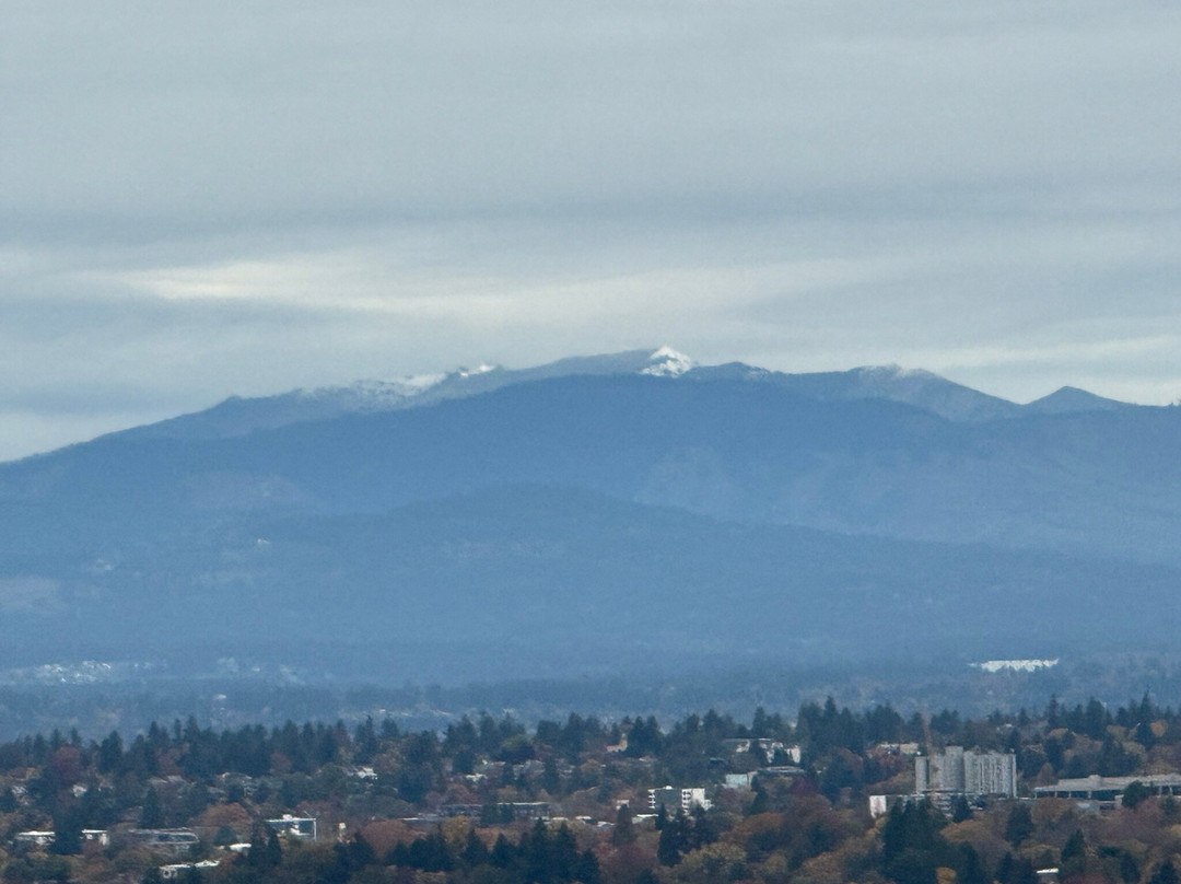 波特兰空中缆车-波特兰必去景点