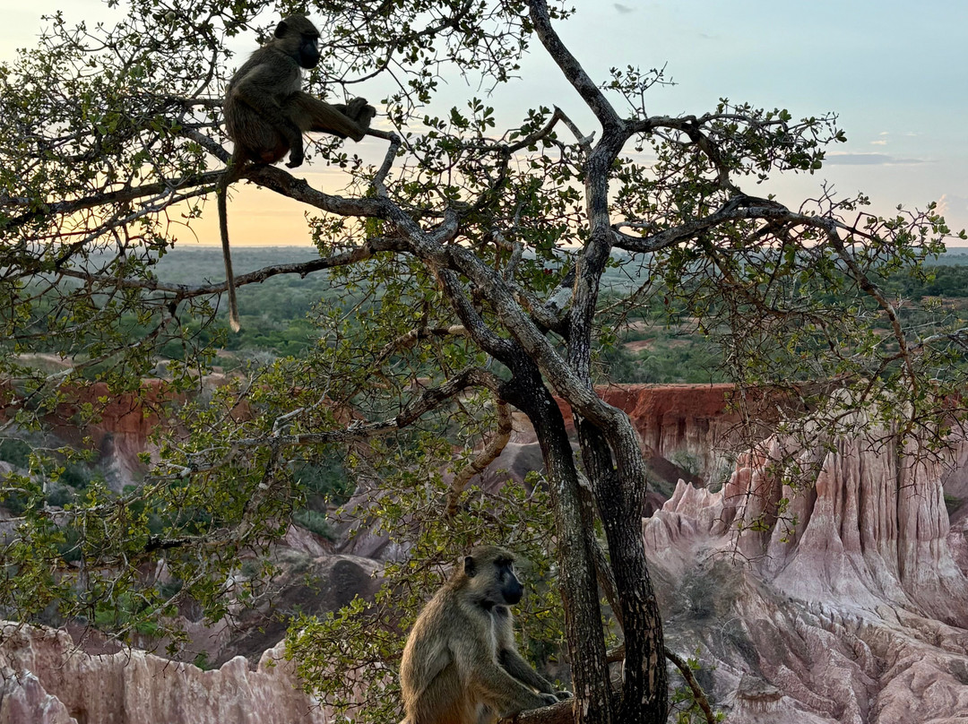 Sammy Safari Kenya-瓦塔木必去景点