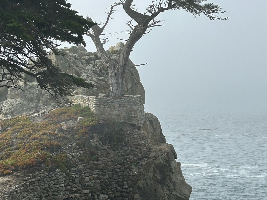 Pebble Beach Visitor Center-圆石滩必去景点