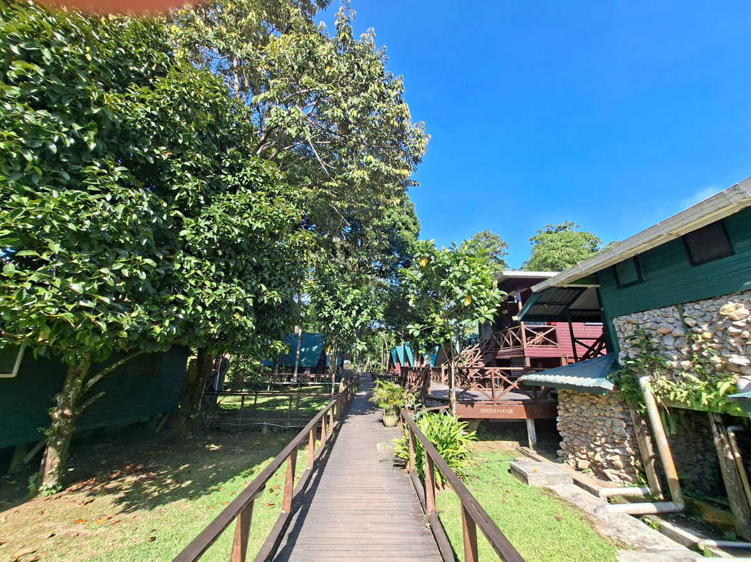 苏高绿观民宿主图