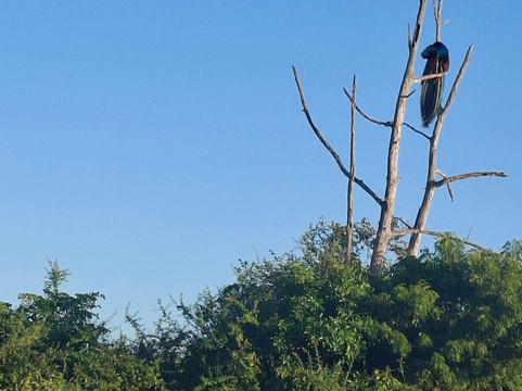 Nimtharu Tours-瓦勒迦玛必去景点