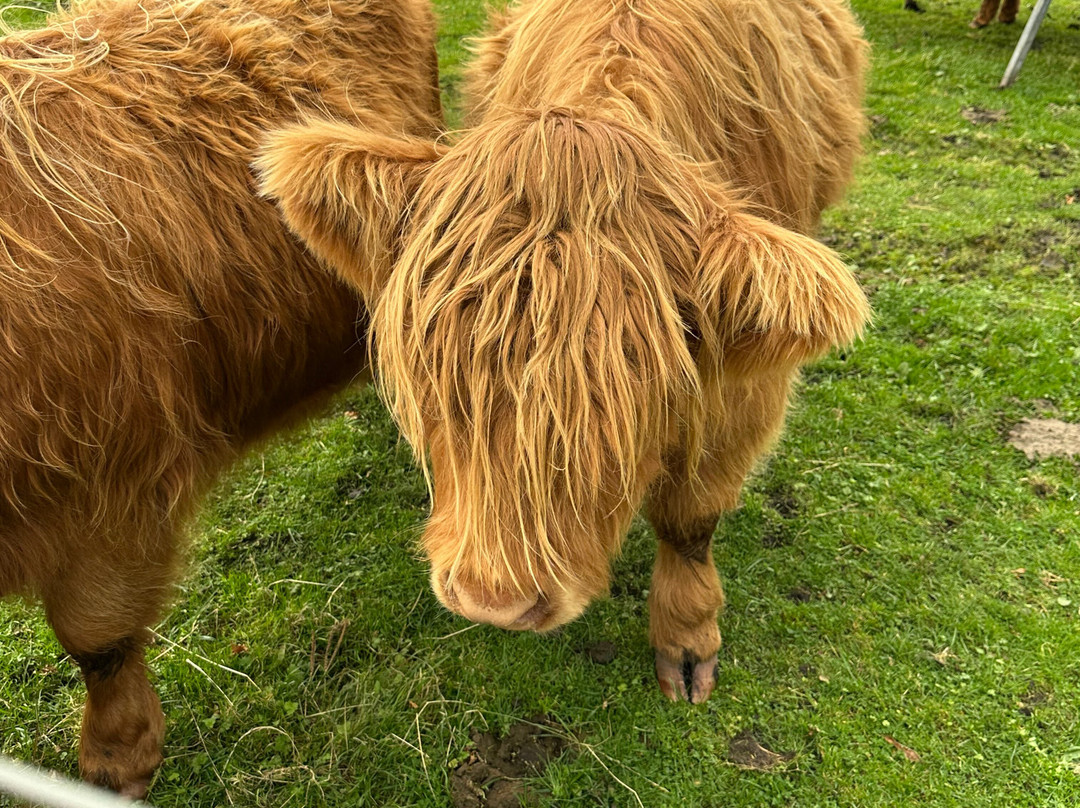 Torridon Outdoors-Torridon必去景点