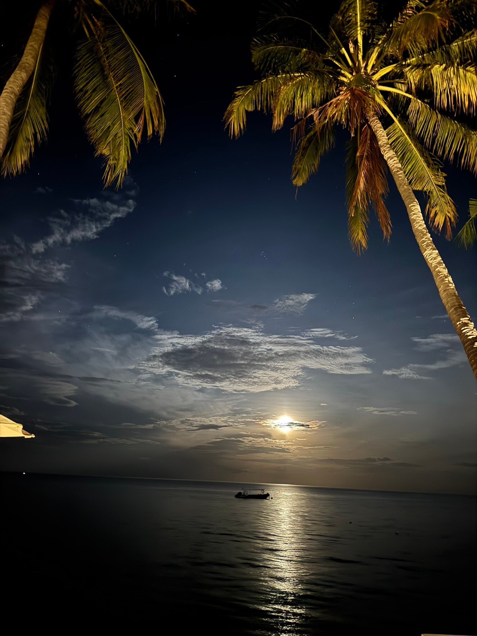 斯库巴塞拉雅度假村-官方