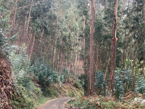 SafariCo-马德拉群岛必去景点