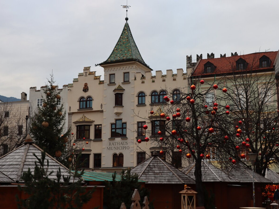Palazzo Municipale-布雷萨诺内必去景点