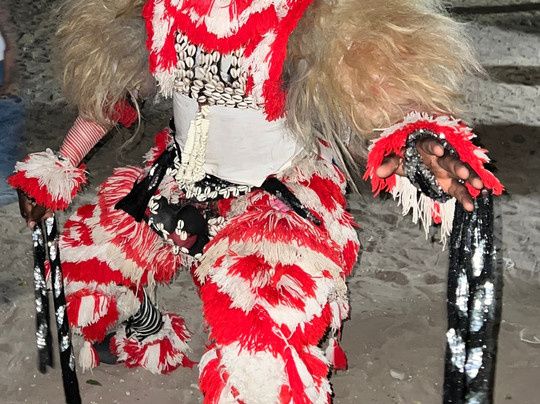 Almamy Badiane Tours-达喀尔必去景点