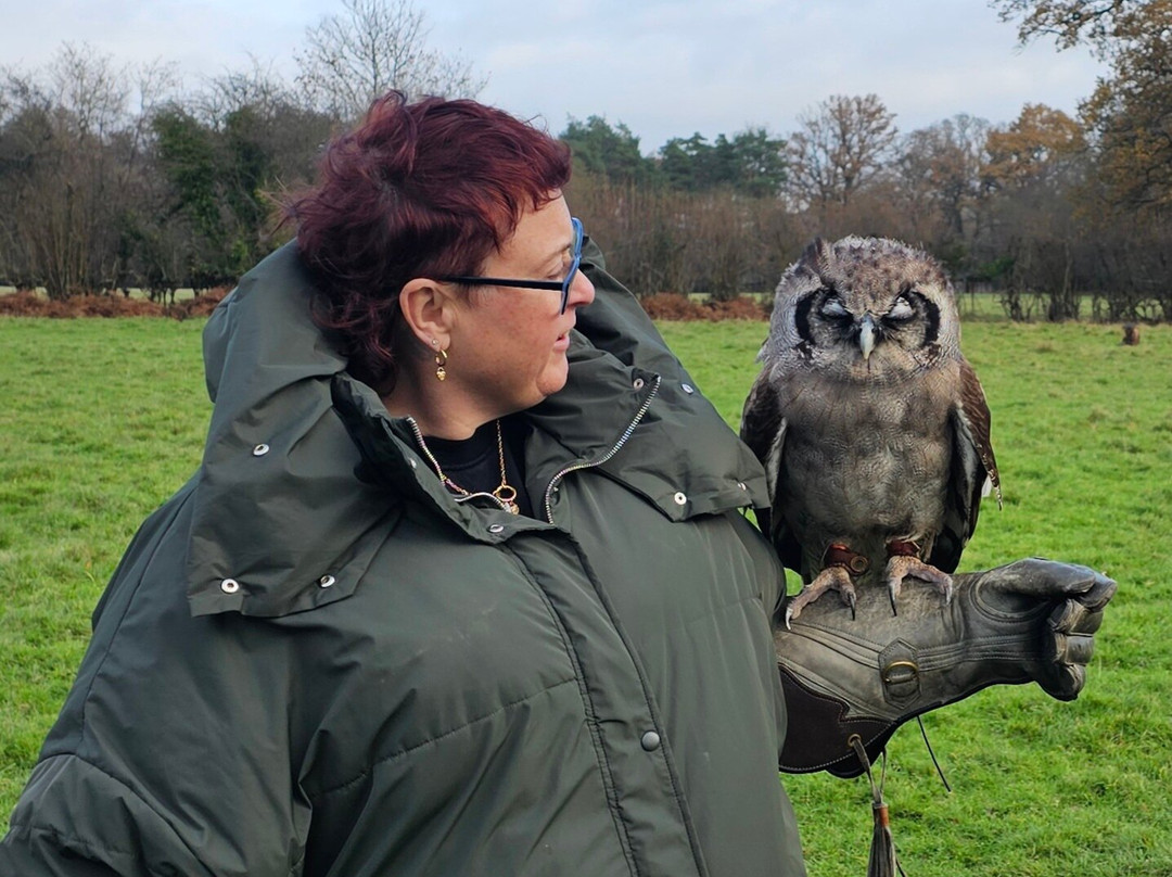 UK Owl And Raptor Centre-Groombridge必去景点