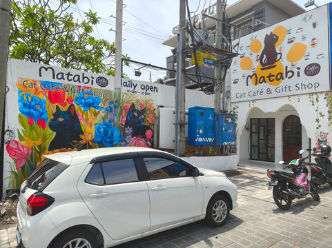 Matabi Cat Café & Gift Shop