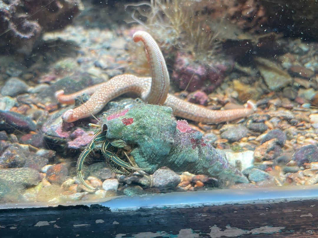 Reefworld Aquarium-尤兰根必去景点